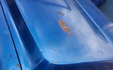 Chevrolet-custom-camper20-1970-blue-1