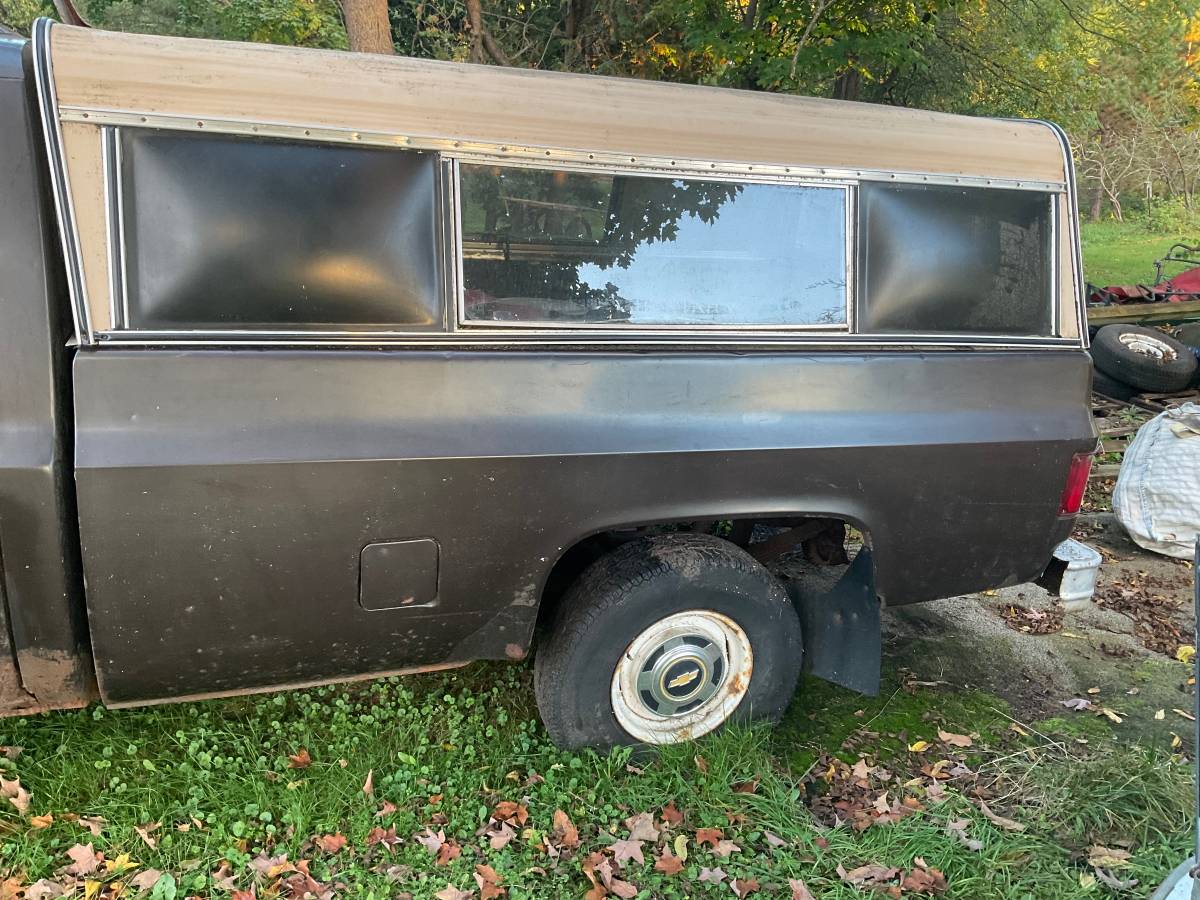 Chevrolet-custom-deluxe-1985-brown-1