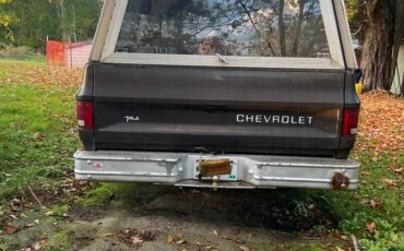 Chevrolet-custom-deluxe-1985-brown-10