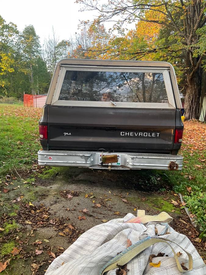 Chevrolet-custom-deluxe-1985-brown-10