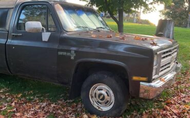 Chevrolet-custom-deluxe-1985-brown-11