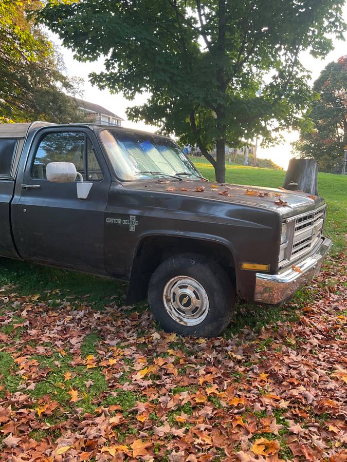 Chevrolet-custom-deluxe-1985-brown-11