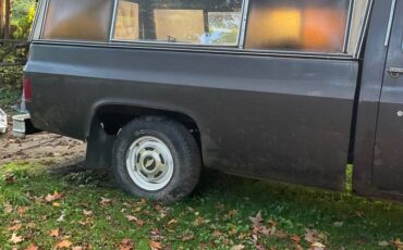 Chevrolet-custom-deluxe-1985-brown-12