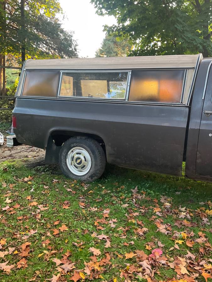 Chevrolet-custom-deluxe-1985-brown-12