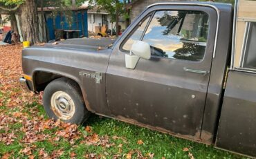 Chevrolet-custom-deluxe-1985-brown-2