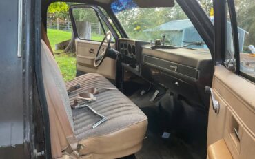Chevrolet-custom-deluxe-1985-brown-3