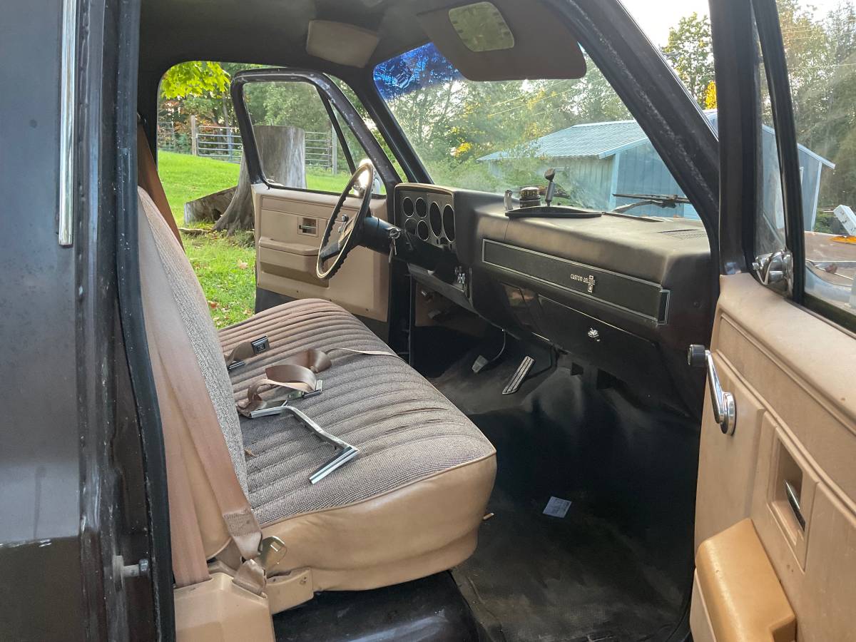Chevrolet-custom-deluxe-1985-brown-3
