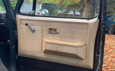 Chevrolet-custom-deluxe-1985-brown-4