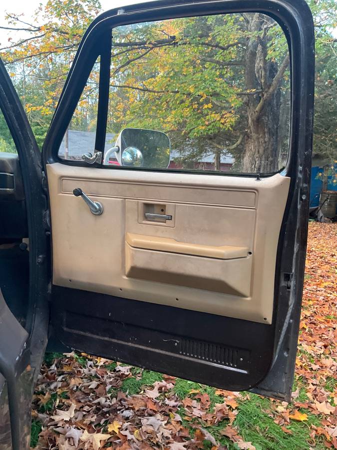 Chevrolet-custom-deluxe-1985-brown-4