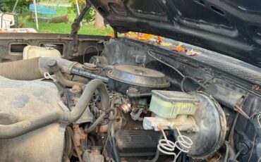 Chevrolet-custom-deluxe-1985-brown-7