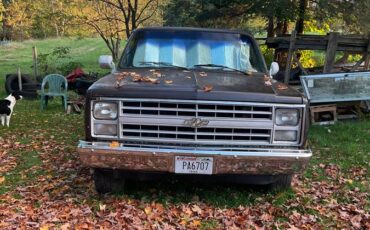 Chevrolet-custom-deluxe-1985-brown-9