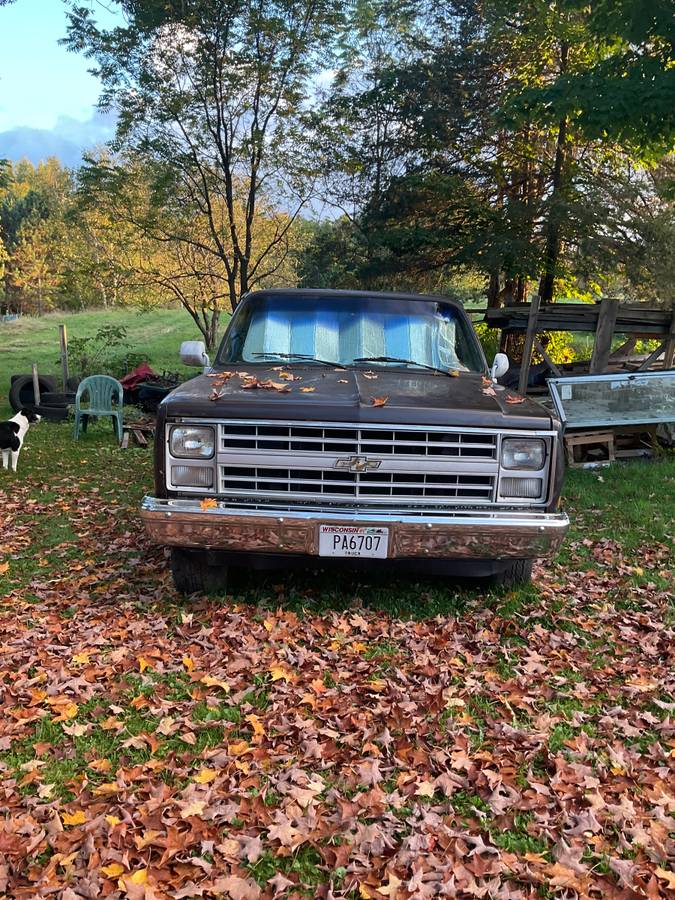 Chevrolet-custom-deluxe-1985-brown-9