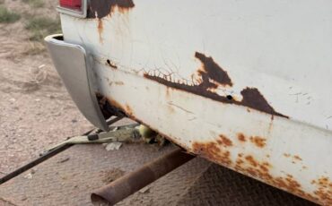 Chevrolet-el-camino-1967-white-7