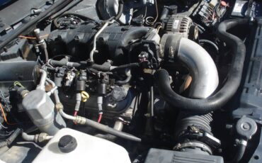 Chevrolet-el-camino-1981-112