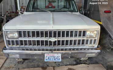 Chevrolet-flatbed-c30-1981-white