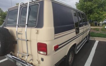 Chevrolet-g20-van-1989-brown-13
