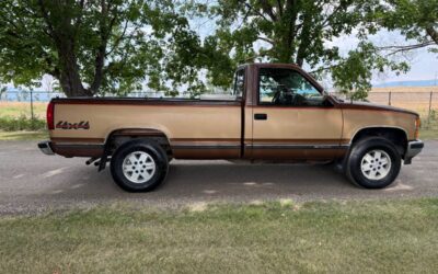 Chevrolet gmt-400 1/2 ton nominal 1989