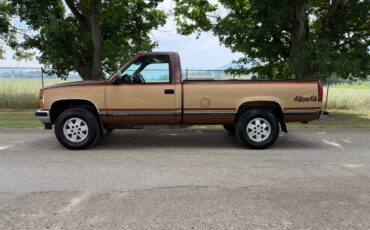 Chevrolet-gmt-400-12-ton-nominal-1989-brown-3