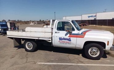 Chevrolet-gmt-400-34-ton-nominal-1973-white-4
