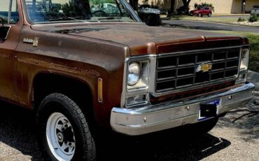 Chevrolet-k20-scottsdale-1980-brown-3