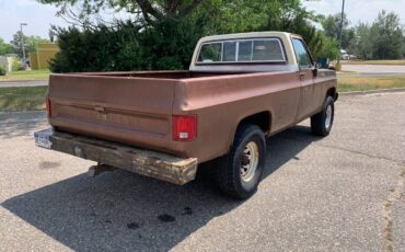 Chevrolet-k20-scottsdale-1980-brown-4