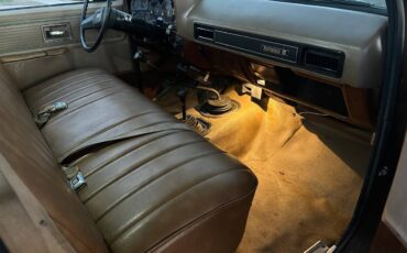 Chevrolet-k20-scottsdale-1980-brown-8