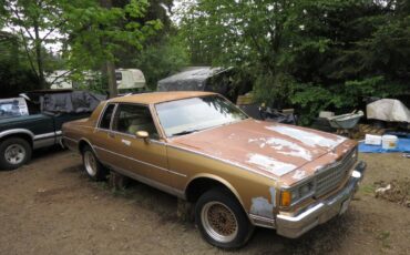 Chevrolet-landau-1980-custom-1