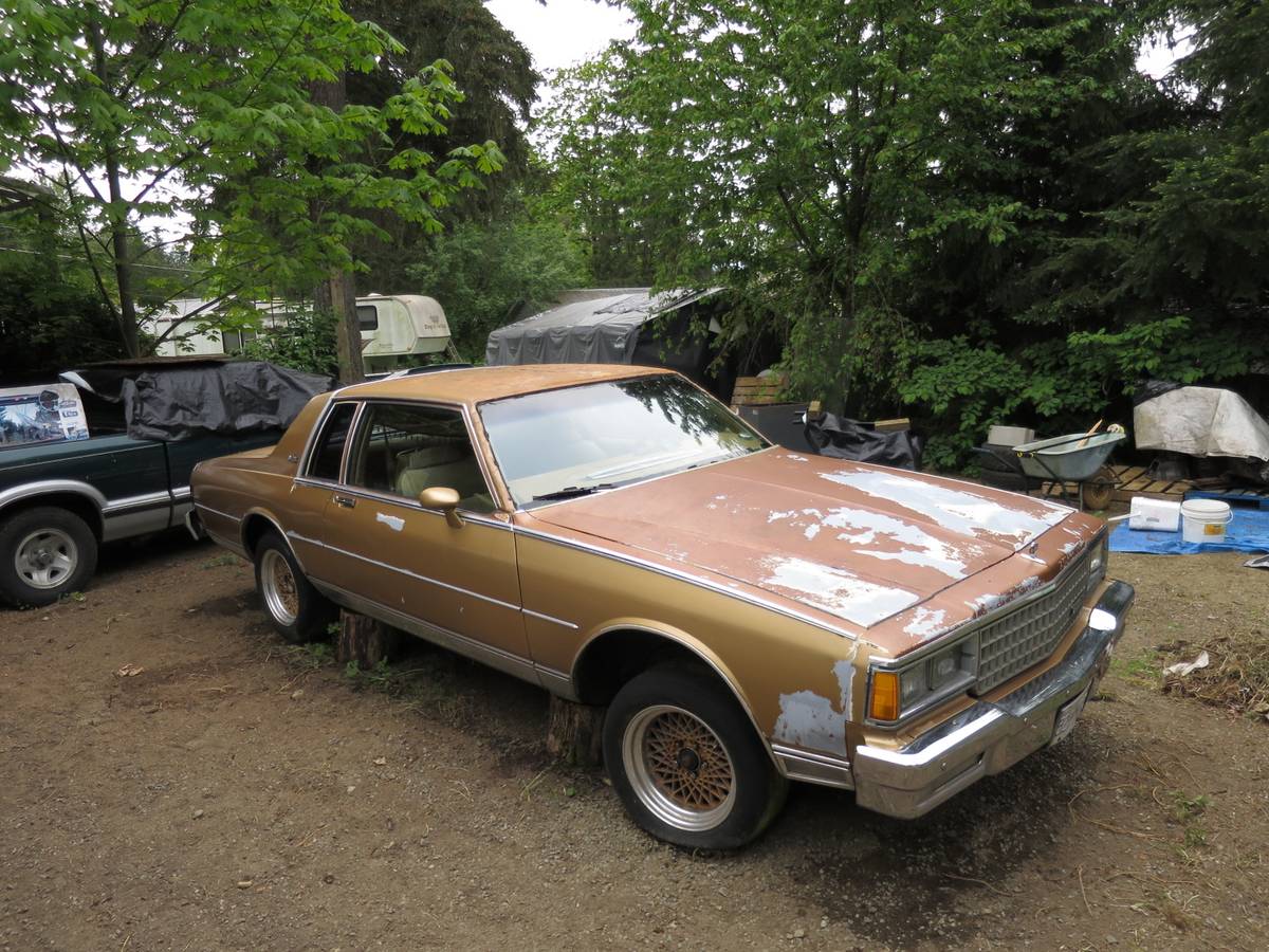Chevrolet-landau-1980-custom-1
