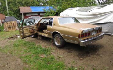 Chevrolet-landau-1980-custom-3