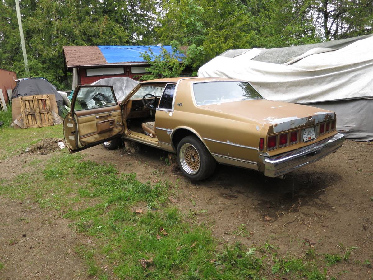 Chevrolet-landau-1980-custom-3