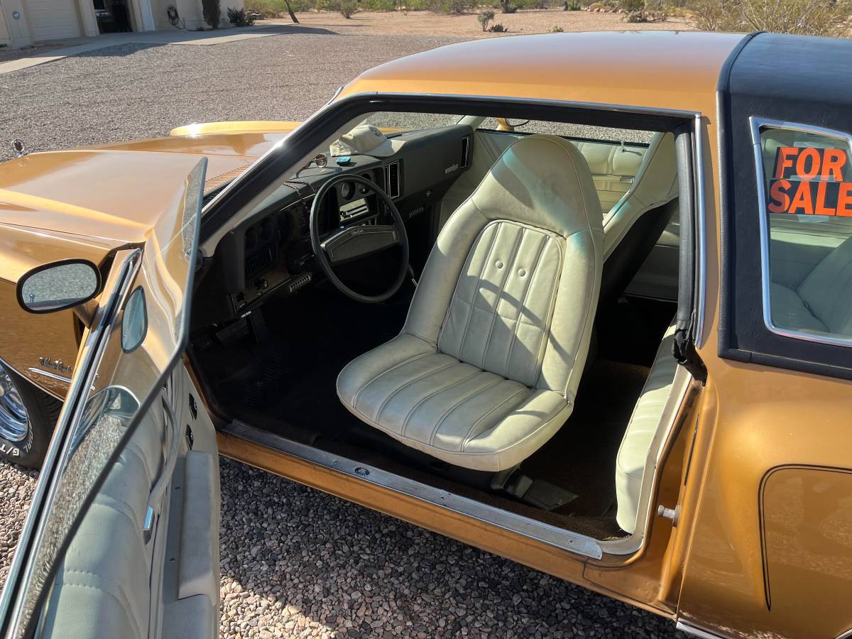 Chevrolet-monte-carlo-landau-1973-brown-10