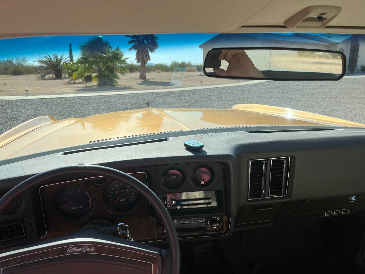 Chevrolet-monte-carlo-landau-1973-brown-13