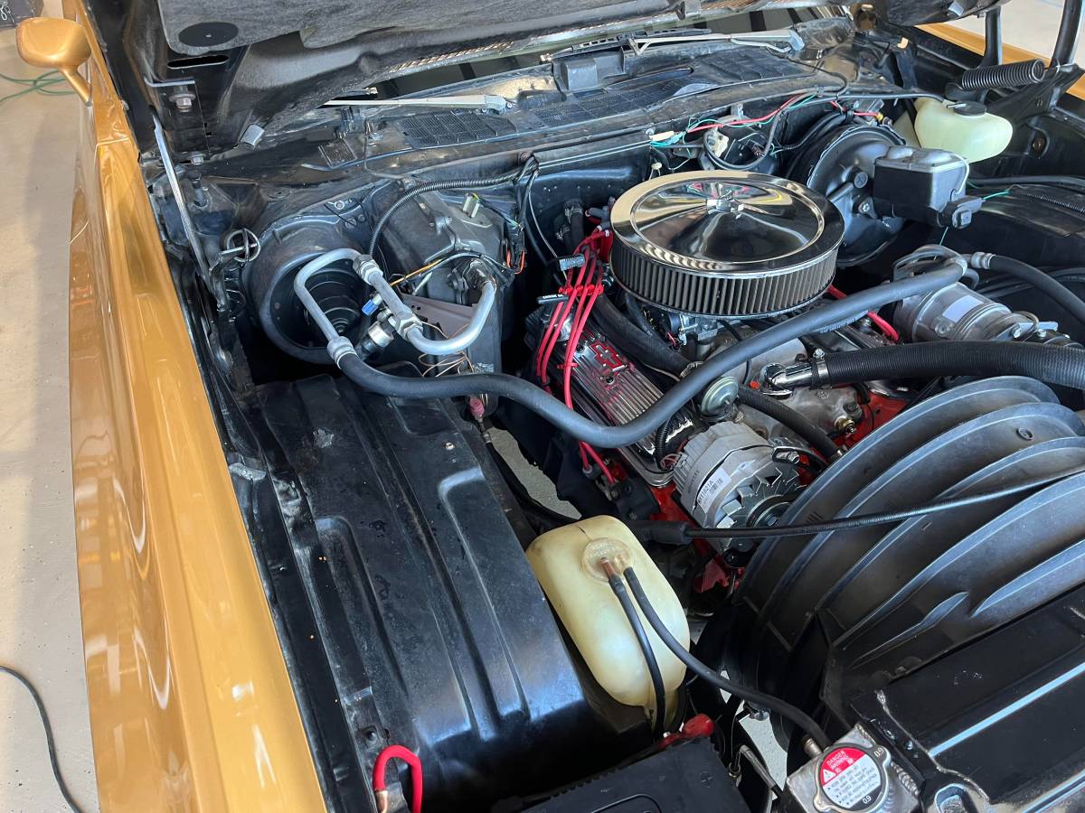 Chevrolet-monte-carlo-landau-1973-brown-19