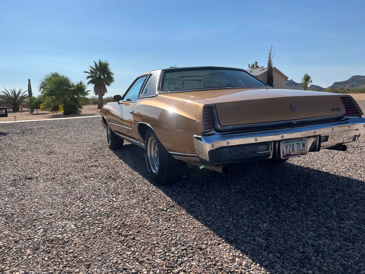 Chevrolet-monte-carlo-landau-1973-brown-26