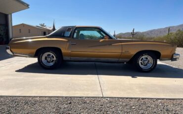 Chevrolet-monte-carlo-landau-1973-brown-28