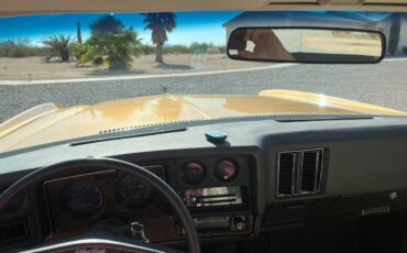 Chevrolet-monte-carlo-landau-1973-brown-30