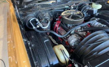 Chevrolet-monte-carlo-landau-1973-brown-7