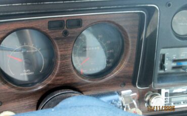 Chevrolet-monte-carlo-landau-1977-silver-3