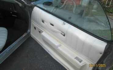 Chevrolet-monte-carlo-landau-1977-silver-8