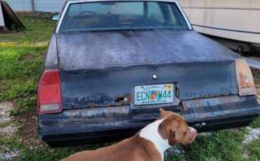 Chevrolet-monte-carlo-ls-1986-black-1