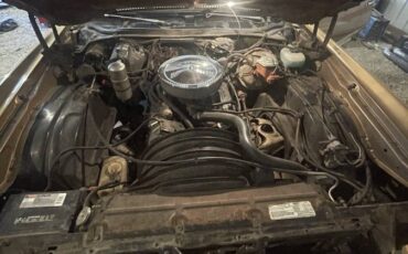 Chevrolet-monte-carlo-ss-1977-1