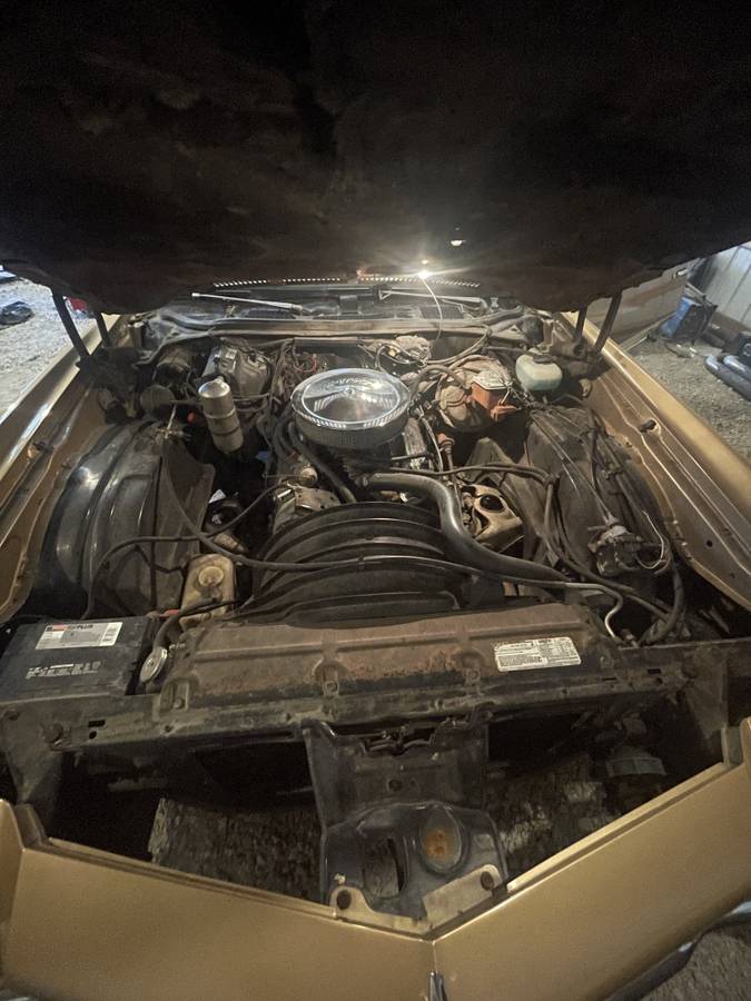 Chevrolet-monte-carlo-ss-1977-1