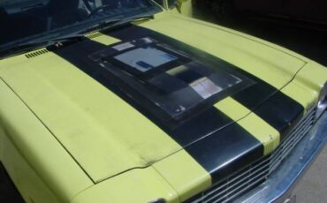 Chevrolet-monza-1975-13