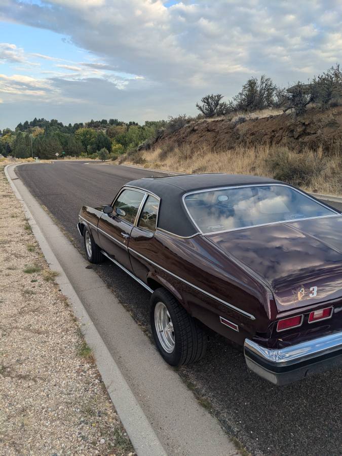 Chevrolet-nova-1974-purple-19