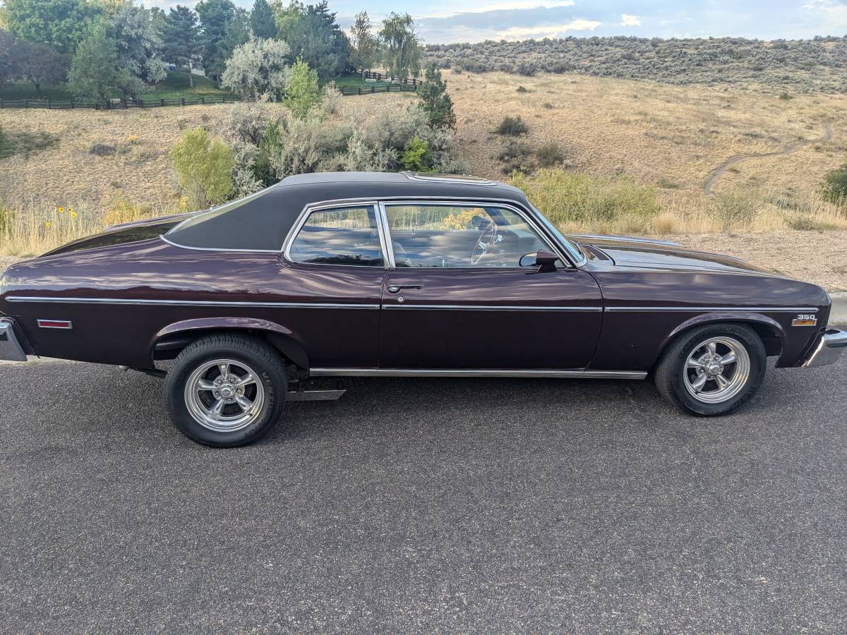 Chevrolet-nova-1974-purple-2