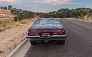 Chevrolet-nova-1974-purple-22