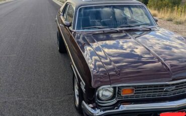 Chevrolet-nova-1974-purple-3