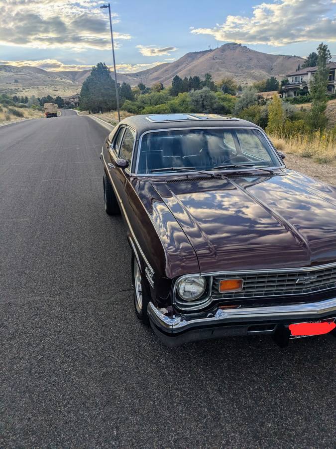 Chevrolet-nova-1974-purple-3