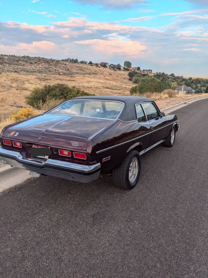 Chevrolet-nova-1974-purple-5