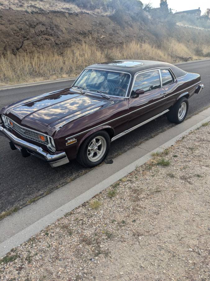 Chevrolet-nova-1974-purple
